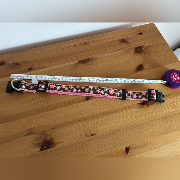 Dog 🐶 Collar - Picture 3 of 9